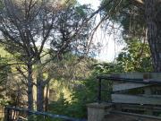 CALONGE: Parcela de 883 m2. Urbanización Mas Pere. La...