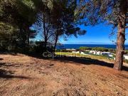 Calvi 20260 Achat / Vente terrain