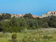 Calvi 20260 Achat / Vente terrain