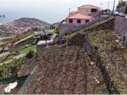 Câmara de Lobos Câmara de Lobos 89739252