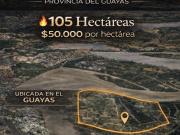 CAMARONERA EN VENTA, 105 HECTREAS | PROV. DEL GUAYAS
