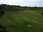 Cambremer Vente Terrain 14