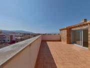 Camelias Sangonera Verde Murcia