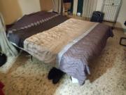 Stanza in appartamento condiviso con 4 camere da letto...