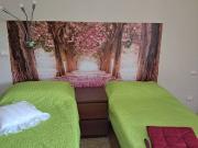 Camere in affitto per studentesse