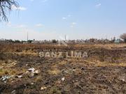 Camino a Pelavacas: En la zona comercial más importante...