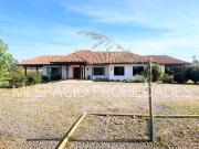 Camino carampangue Colegio Trebulco