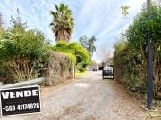 Camino Las cañas Chicureo uno