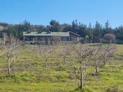 CAMINO LAS TINAJAS CAMINO LAS TINAJAS