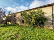 Campagna di Pietrasanta vendesi Cascina