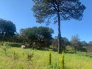 Campestre la Colina Terrenos en Venta Apizaco, en...