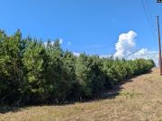 Campground Rd, Columbia, Plot For Sale