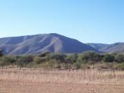 Campo 171 Ha / Charbonier