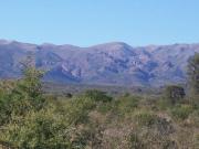 Campo 171 Ha / Charbonier en Inmomap