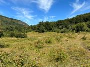 CAMPO 206 Ha COCHAMÓ LAGO LAS ROCAS
