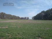 Campo 25 De Mayo