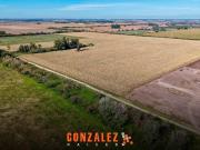 Campo 53 Ha 20 de Junio