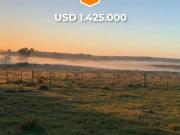 Campo 570 Ha Las Aguadas, San Martin