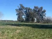 CAMPO 5,5 HECTAREAS VIRREY DEL PINO LIMITE MARCOS PAZ