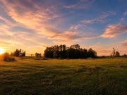 Campo 5,7 ha en Paillaco | Ruta 5 Sur
