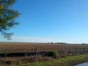 CAMPO 670 HECTAREAS, MIXTO, BALCARCE, BUENOS AIRES,...