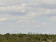 Campo 7.000 hect ganadero divisadero las? San carlos mendoza