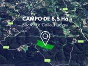 Campo 8,5 Há, sector La Calle, Hualqui