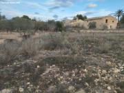 CAMPO ADOSADO CON 3000m2 DE PARCELA