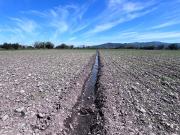 Campo Agrícola de 15 Hectáreas en Venta – Sector...