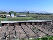 Campo Agrícola de 25 Hectáreas – Codigua, Melipilla