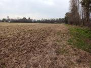 CAMPO, AGRÍCOLA EN VENTA, 21 HA, SAN CLEMENTE