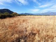 CAMPO, AGRÍCOLA EN VENTA, TENO, REGIÓN DEL MAULE