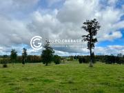 CAMPO AGRICOLA FRESIA