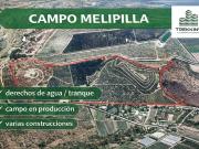 CAMPO AGRICOLA MELIPILLA
