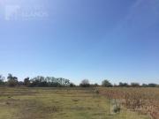 Campo | Camino a Carlos Keen