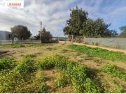 CAMPO CON NAVE DE 50 M2 ZONA LOMA BAJA