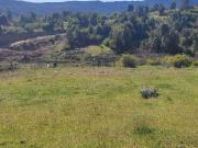 campo de 10 há más casa 70m2