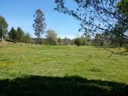 campo de 14 hectáreas camino Villarrica Pucon