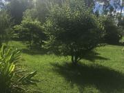 CAMPO DE 19 HECTAREAS EN ESTACION CHAPADMALAL, BATAN,...