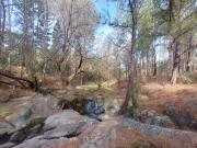 Campo de 20 hectáreas con arroyo, en Atum Pampa Villa...