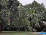 Campo de 30 hectáreas en Pergamino