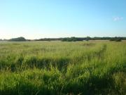 Campo de 4000 has con o sin animales