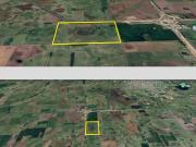 Campo de 40 ha ganadero con producción porcina