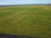 Campo de 764 hectareas Mixto