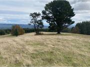 Campo de 78 hectareas Cherquenco