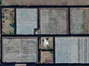 Campo de Kiwis en Villa Parque Sicardi Leer descripci?n...