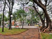 Campo de Ourique. Apartamento T2, remodelado com terraço