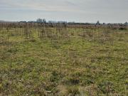 CAMPO DE POCO MAS DE 5 HECTAREAS EN MAR DEL PLATA VENDE,...