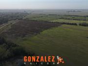 Campo en 20 de junio 30 Hectáreas