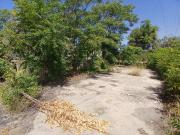 Campo en Albacete